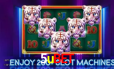 Descubra a Essência do 5ubet: Nossa História e Compromissos